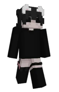 Front of vxlr's skin