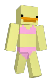 Front of Minecraft skin