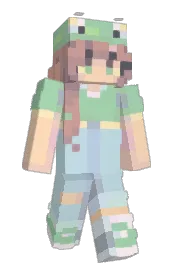 Skin preview