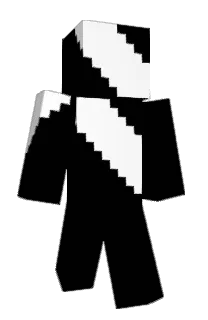 Front of stw576's skin