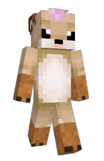 Front of Amateureur's skin
