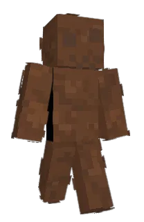 Front of isern's skin