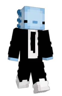 Front of GalletaSalada's skin