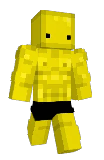 Front of LwyDian's skin