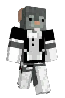12Inch_Subwoofer Minecraft avatar full body