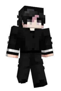 12LT Minecraft avatar full body