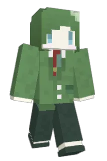 12Nn Minecraft avatar full body