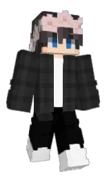 Minecraft skin — Classic model