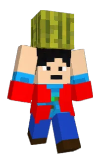 Front of Farlyy's skin