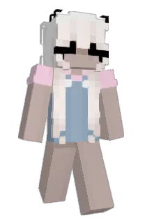 Front of vSage's skin