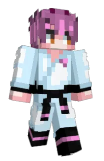 Front of dumbstupiddork's skin