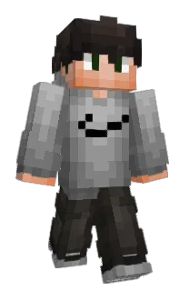 Front of S1GAR's skin