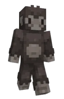 Front of attrxct's skin