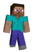 Visagee