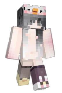 12bu4 Minecraft avatar full body
