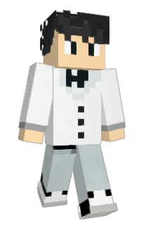 Front of VANACER's skin