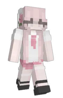 Front of HttpError's skin