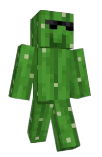 Front of Minecraft skin