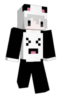 Front of Riguengo's skin