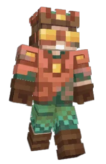 Front of Wardni's skin