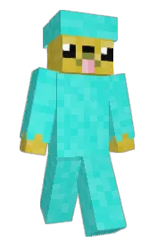 Skin preview