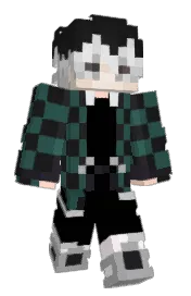 Skin preview