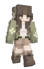 Skin preview