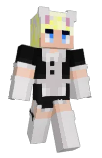 Front of Rinwer's skin
