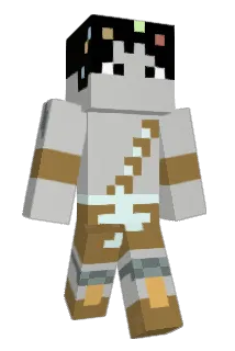 12evolt Minecraft avatar full body