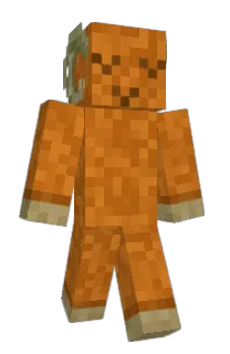 Front of Lightey's skin