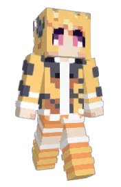 Skin preview
