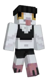 Classic Minecraft skin