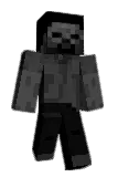 12x1 Minecraft avatar full body