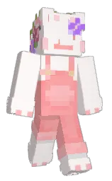 Minecraft skin — Classic model