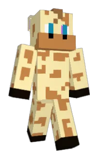 Front of Mr_Carrot24's skin