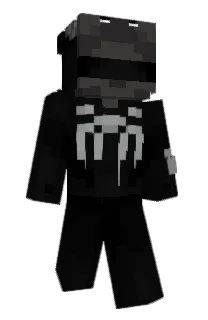 Front of mizuts's skin