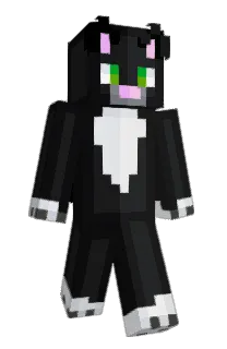 Susthecat's Minecraft skin