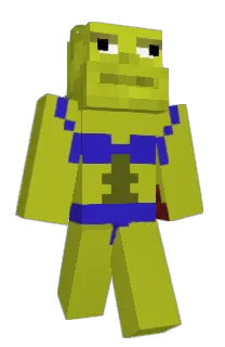 Front of Zoomph's skin