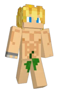 Front of lungw's skin
