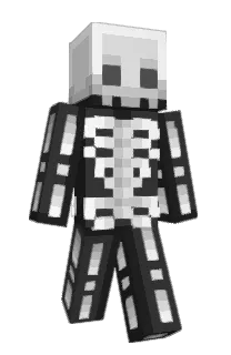 Front of S11c7's skin