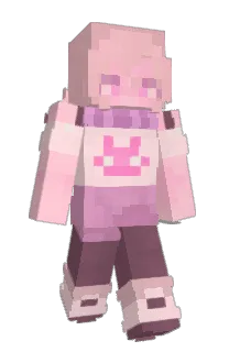 Front of K4DE3's skin