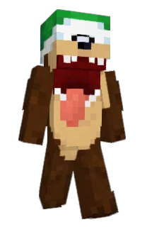 Front of Husion's skin
