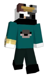 Front of 5wrd's skin