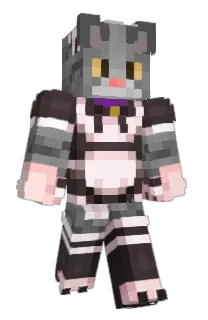 Front of BananyuCat's skin