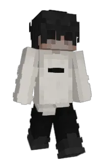 Front of Burritoos's skin