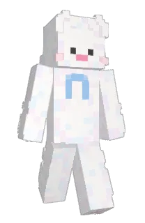 Front of Shuo's skin