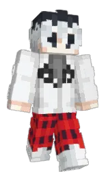 Slim Minecraft skin