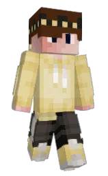Back of Starified's skin
