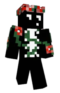 Front of visxionary's skin