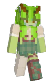 Skin preview